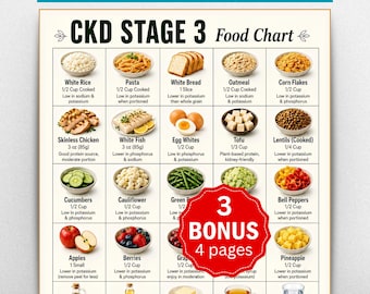 CKD Stage 3 Food Chart Printable, Kidney Diet Food List, Renal Diet Grocery Guide, Kidney Disease Diet Food Chart, Weekly Meal Planner PDF
