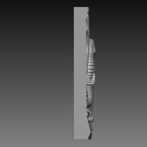 May include: A gray, three-dimensional relief sculpture with intricate details. The sculpture appears to be a side view of a stylized, organic form with textured surfaces and a complex arrangement of shapes. The overall design suggests a decorative or artistic piece.