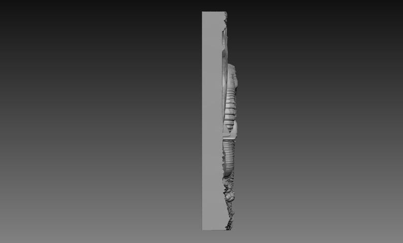 May include: A gray, three-dimensional relief sculpture with intricate details. The sculpture appears to be a side view of a stylized, organic form with textured surfaces and a complex arrangement of shapes. The overall design suggests a decorative or artistic piece.