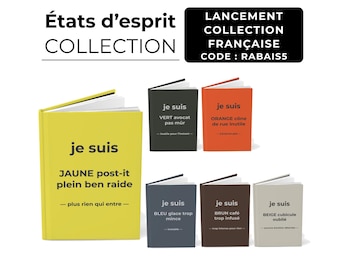 Carnet de notes humour bureau post-it plein ben raide | Cahier sarcastique travail | Journal minimaliste