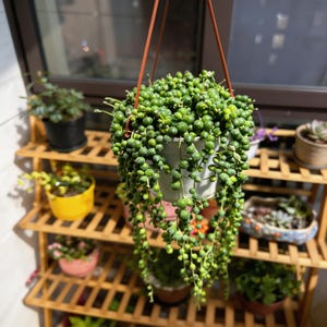 May include: A set of three ceramic mugs with a speckled, matte finish. The mugs are in shades of cream, light gray, and dark gray. Each mug has a simple, minimalist design, perfect for coffee or tea.