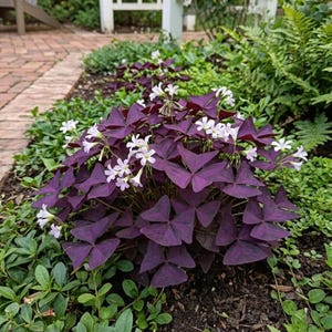 May include: A set of three ceramic mugs with a speckled, matte finish. The mugs are in shades of cream, light gray, and dark gray. Each mug has a simple, minimalist design and a rounded handle.