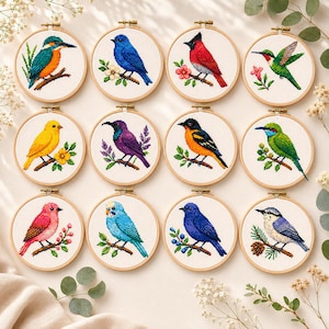 Può includere: Dodici telai da ricamo circolari in legno contenenti motivi a punto croce di vari uccelli, tra cui un martin pescatore, un uccello azzurro, un cardinale, un colibrì, un canarino, un uccello viola, un rigogolo, un gruccione e un picchio muratore.