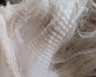Raw Alpaca Fiber White – 100g – Graded & Skirted – Huacaya – Natural Canadian Alpaca – Spinning Fiber