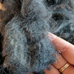 May include: Close-up of dark gray wool fibers. The wool appears soft and textured, with a slightly wavy appearance. The fibers are held in a hand, showing the natural texture and color variations of the material.