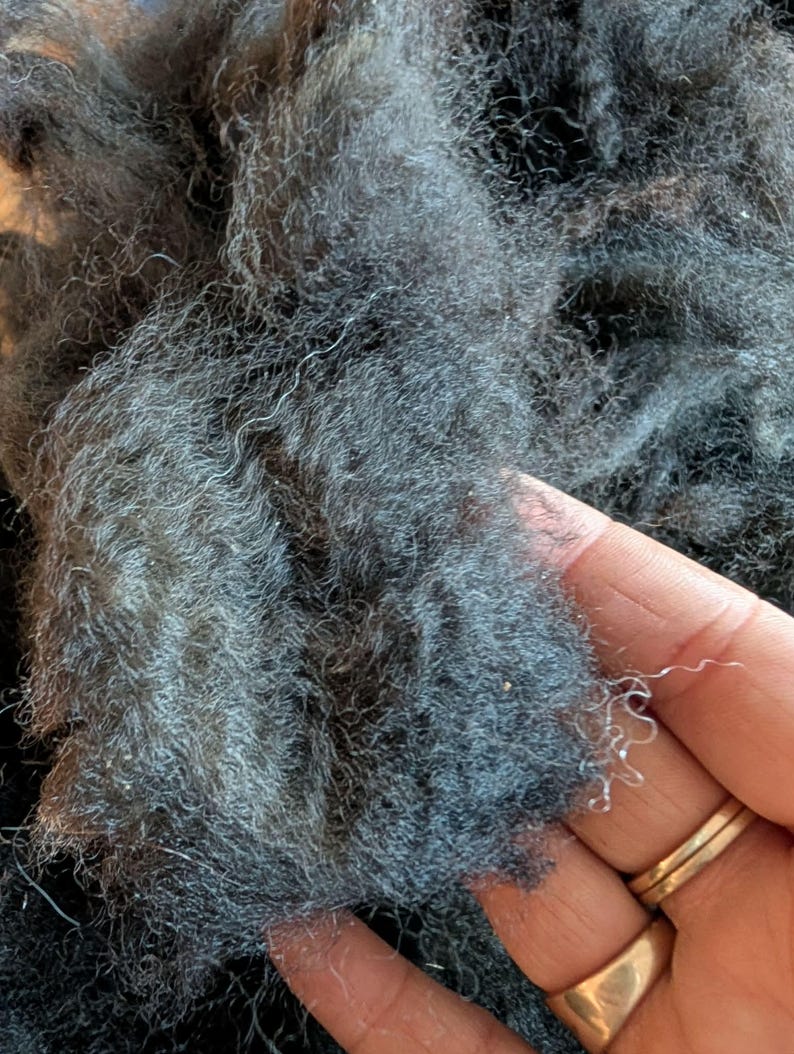 May include: Close-up of dark gray wool fibers. The wool appears soft and textured, with a slightly wavy appearance. The fibers are held in a hand, showing the natural texture and color variations of the material.