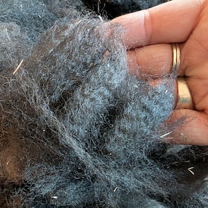 May include: Close-up of dark gray wool fibers, tightly packed and textured. The fibers have a soft, fluffy appearance, with some lighter strands and small bits of debris visible throughout. The wool appears to be unprocessed or minimally processed.