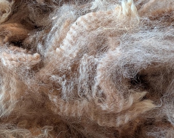 Raw Alpaca Fiber fawn– 100g – Graded & Skirted – Huacaya – Natural Canadian Alpaca – Spinning Fiber