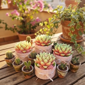 Op de afbeelding: Een verzameling van drie vetplantvormige kaarsen in geribbelde, lichtroze cilindrische houders met kleine strikjes, omringd door diverse kleine cactussen en vetplanten in verschillende aardewerken potjes op een houten ondergrond.