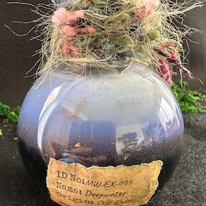 May include: A spherical glass bottle with a blue and black gradient, containing dark particles. The bottle is adorned with a cluster of tan, pink, and green fibres. A label on the bottle reads "ID No: MW-EX-004 Name: Deepwater Origin: Still Water".