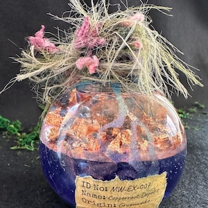 May include: A small, round glass jar with a deep blue base and copper-coloured flakes suspended within. The jar is topped with dried grasses and pink flowers. A label on the jar reads "ID No: MW-EX-007, Name: Copperroot Deposit, Origin: Greenwake."