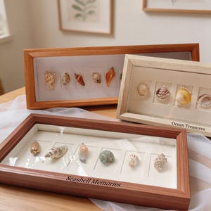 May include: Three wooden framed displays showcasing various seashells. The frames are rectangular with a light-colored interior. The bottom frame has the text "Seashell Memories". The top right frame has the text "Ocean Treasures". The shells vary in color and size.
