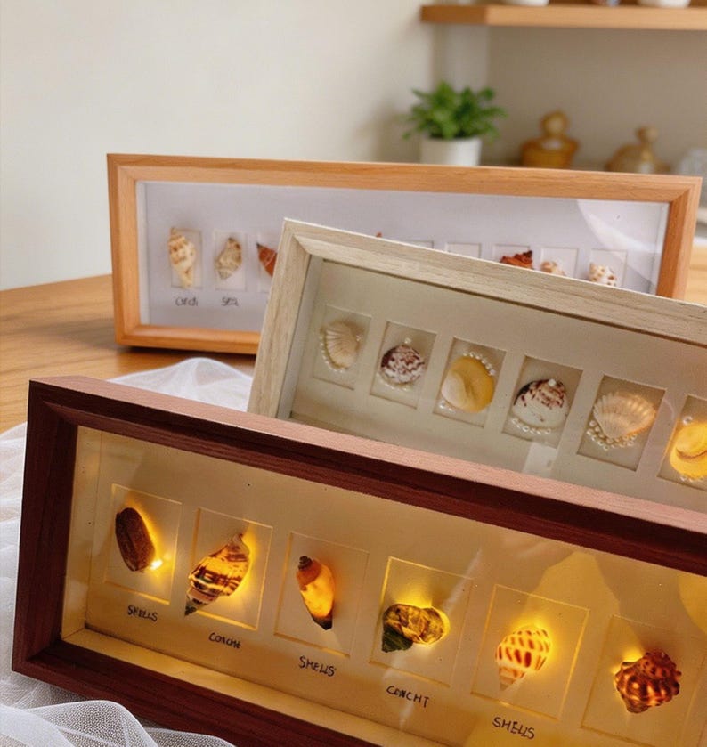 Frame Exhibition Shell Personalized Shell Display Frame DIY Shadow Box Frame Beach Memory ...