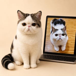 Könnte beinhalten: Eine nadelgefilzte Skulptur einer Exotic Shorthair Katze mit weißem und braunem getigertem Fell, die aufrecht sitzt. Daneben zeigt ein Laptop-Bildschirm ein Foto derselben Katze, die auf einem Holzboden steht und ihr Gesicht sowie ihr Fell zeigt.