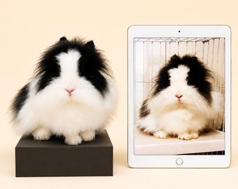 Custom Rabbit Portrait Needle Felted Sculpture,Stuffed Bunny Plush,Wool Felt Pet Memorial Gift