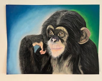 Quiet Curiosity – Original Chimp Soft Pastel Portrait | Wildlife Art | One of a Kind