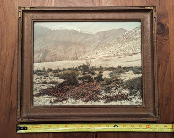 1910s Arts & Crafts Era FREDERICK W. MARTIN Original Vintage Signed Hand Colored Framed Photograph - Southern California Desert Landscape