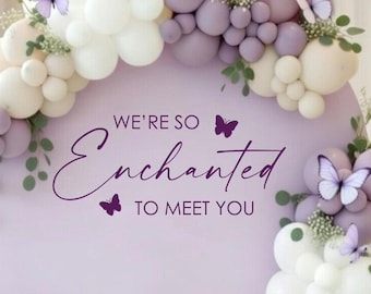 ¡Estamos encantados de conocerte! Vinilo decorativo para baby shower de niña. Letrero para baby shower. Vinilo decorativo para baby shower con mariposas.