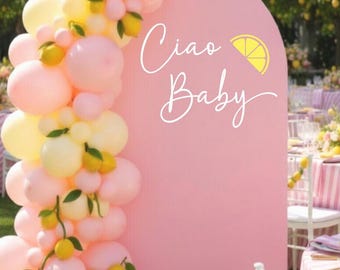 Ciao Baby Decal with Lemon Slice - Hello Baby Vinyl Backdrop Setup - Spring Baby Shower