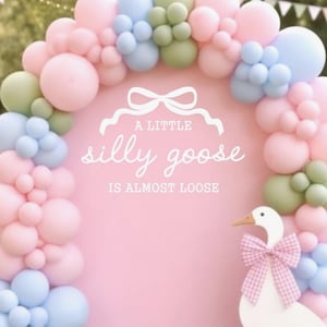 May include: A pink backdrop with the text "A little silly goose is almost loose" is surrounded by a balloon arch in pastel colors. A white goose cutout with a pink bow stands in front of the backdrop.
