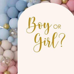 Boy or Girl Decal for Party Backdrop Sign or Balloon Arch Baby Shower Vinyl Decal for Welcome Sign or Entrance Gender Reveal Decal