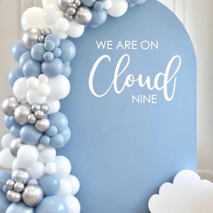 May include: A light blue arch backdrop with the text "WE ARE ON Cloud NINE" is decorated with a balloon garland in shades of blue, white, and silver. A white cloud-shaped prop is at the base.