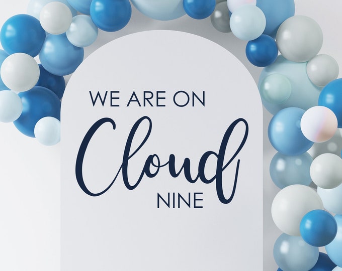 We are on Cloud Nine Decal for Baby Shower Sign Making Vinyl Decal for Baby Shower Baby Girl Sign Baby Boy Sign Cloud Themed Shower Decor