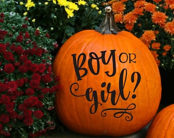 以下が含まれることがあります： 「BOY OR girl?」と装飾的な渦巻きが書かれた黒いビニールステッカーが貼られた大きなオレンジ色のカボチャ。カボチャは赤、黄、オレンジの菊に囲まれています。