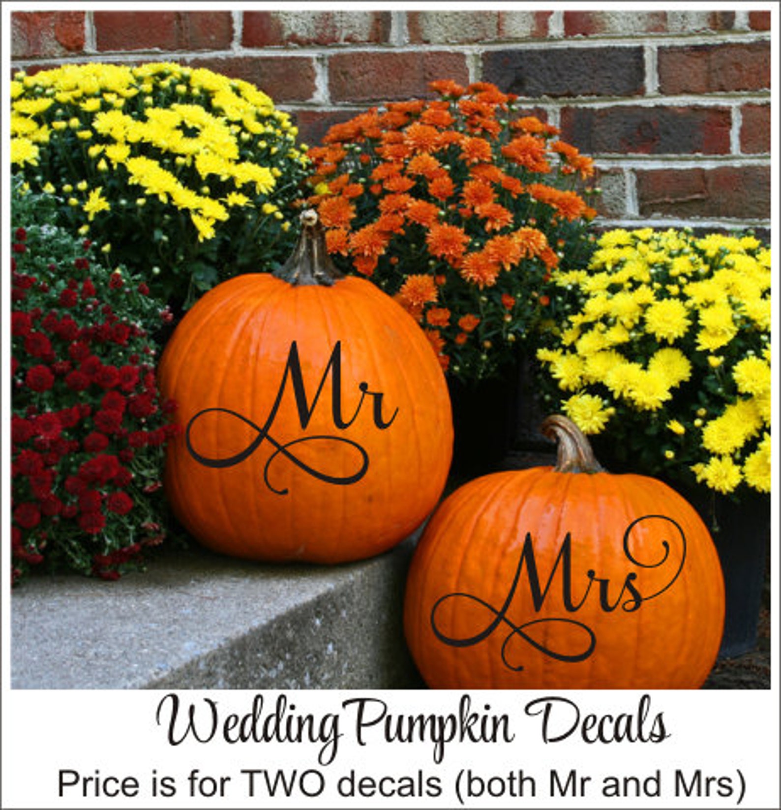 Mr and Mrs Pumpkin Decals Small Decals Set of Two Wedding Etsy