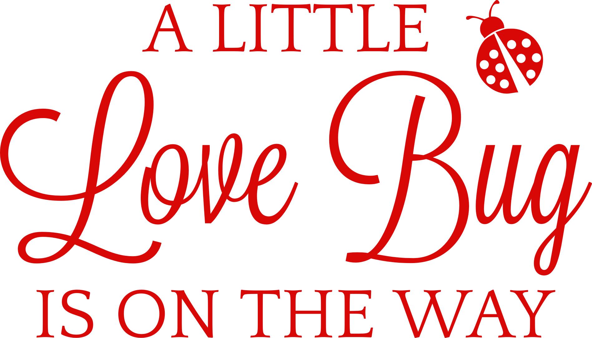 A Little Love Bug is on the Way Decal | Valentine Baby Shower Vinyl ...