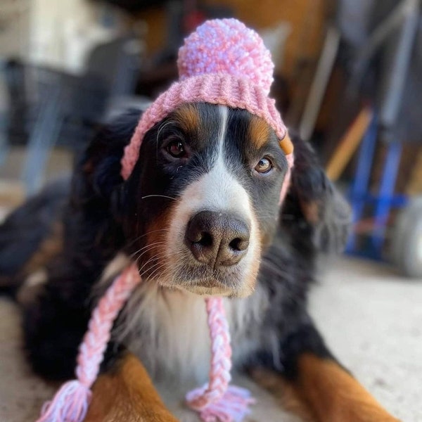 X-Large Crochet Dog Hat PATTERN: Prickly Paw Hat