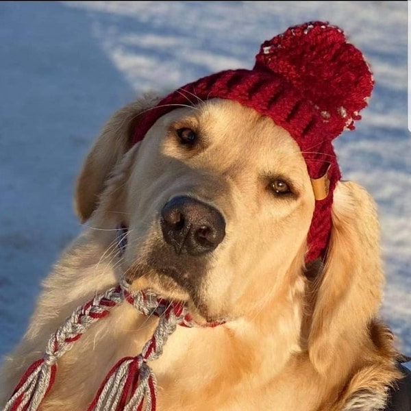 Kleine Häkelmütze für Hunde MUSTER: Prickly Paw Hat