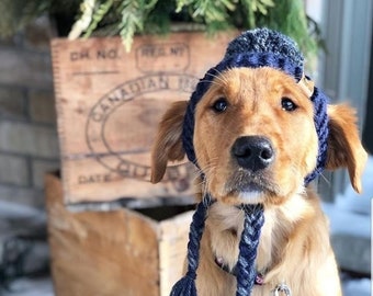 Medium Crochet Dog Hat PATTERN: Prickly Paw Hat