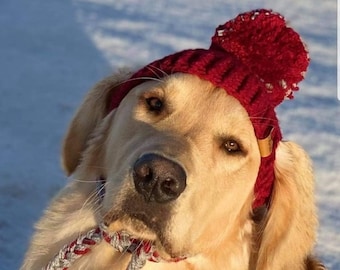 Patrón de gorro de crochet para perro pequeño: Gorro con forma de pata espinosa