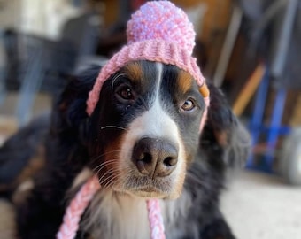 Große gehäkelte Mütze für Hunde MUSTER: Prickly Paw Hat