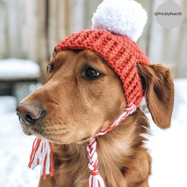 X-Small Crochet Dog Hat PATTERN: Prickly Paw Hat
