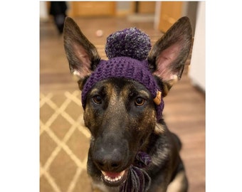 Large Upright Ears Crochet Dog Hat PATTERN: Prickly Paw Hat