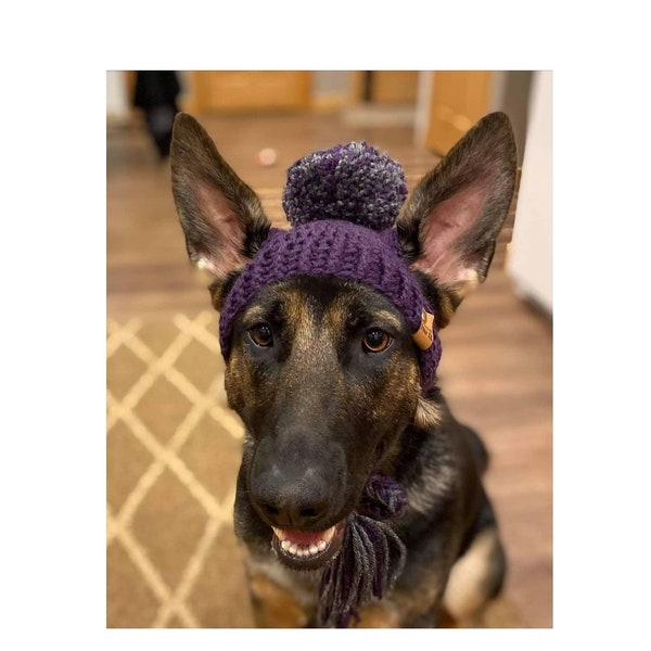 Large Upright Ears Crochet Dog Hat PATTERN: Prickly Paw Hat