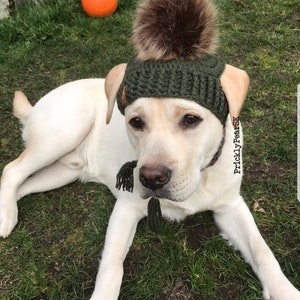 Puede incluir: Un Labrador Retriever de color claro con un gorro de punto verde con un gran pomp&oacute;n marr&oacute;n. El perro est&aacute; tumbado sobre hierba verde con una pelota naranja en el fondo. El gorro tiene agujeros para las orejas y una borla.