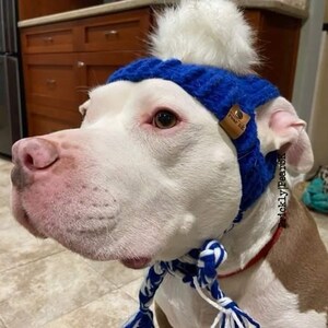 Puede incluir: Un perro blanco y marr&oacute;n con un gorro azul tejido con un pomp&oacute;n blanco y lazos trenzados. El gorro tiene una peque&ntilde;a etiqueta de cuero que dice "Fear Us".