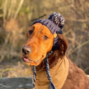 Puede incluir: Un golden retriever con un gorro de punto azul marino con un pomp&oacute;n blanco y gris y un pa&ntilde;uelo beige. El gorro tiene orejeras con lazos trenzados. El texto "PricklyPearSK" es visible en la imagen.