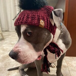 Puede incluir: Un gorro de ganchillo granate con un pomp&oacute;n negro y una bufanda a juego lo lleva un perro gris y blanco. El gorro tiene una peque&ntilde;a etiqueta que dice "Prickly Pear SK". El perro lleva un collar de cadena plateada.