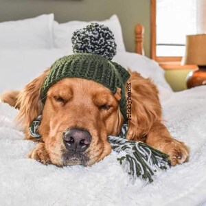 Puede incluir: Un golden retriever relajado con un gorro de punto verde con pomp&oacute;n y una bufanda a juego, tumbado sobre una manta blanca y esponjosa. El perro parece estar durmiendo, con los ojos cerrados. La escena est&aacute; ambientada en una cama.