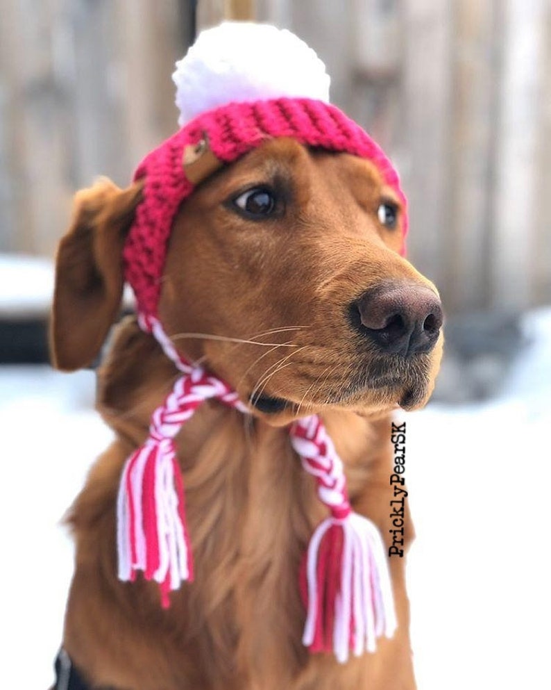 Puede incluir: Un golden retriever con un gorro de punto rosa y blanco hecho a mano con un pomp&oacute;n blanco y una bufanda trenzada a juego. El perro mira hacia un lado, con un fondo nevado. El sombrero tiene un peque&ntilde;o bot&oacute;n de madera.