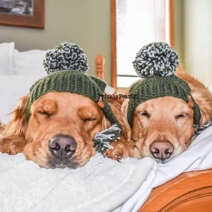 Puede incluir: Dos golden retrievers con gorros de punto verdes con pompones blancos y negros, acostados en una cama blanca. Los perros est&aacute;n acostados sobre una manta blanca, con los ojos cerrados.