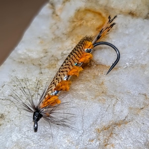 May include: A fishing fly lure featuring a curved metal hook, a body wrapped in brown and black striped feathers, and bright orange tufts of material. The head of the lure is adorned with thin, dark, radiating fibers tied with black thread.
