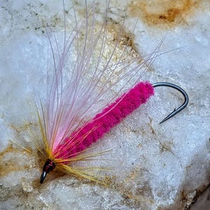 May include: A fishing fly featuring a bright fuchsia chenille body wrapped around a metal hook. The fly includes a cluster of long, pale pink hackle feathers at the front, accented by thin, golden-yellow fibers extending outward from the base.