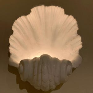 Muschel Gips Wandleuchte