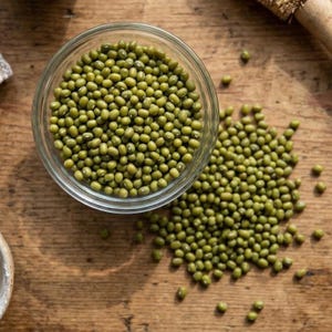 Green Mung Bean Seeds 100 Count | Easy Grow Heat Tolerant Bean for Sprouting & Vegetable Garden