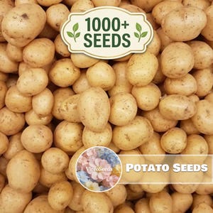 May include: A large collection of light brown, oval-shaped potatoes with textured skin. A white label at the top reads 1000+ SEEDS with green leaf icons. A circular badge at the bottom displays colorful flowers and the text POTATO SEEDS.